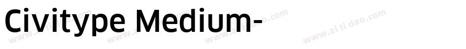 Civitype Medium字体转换
